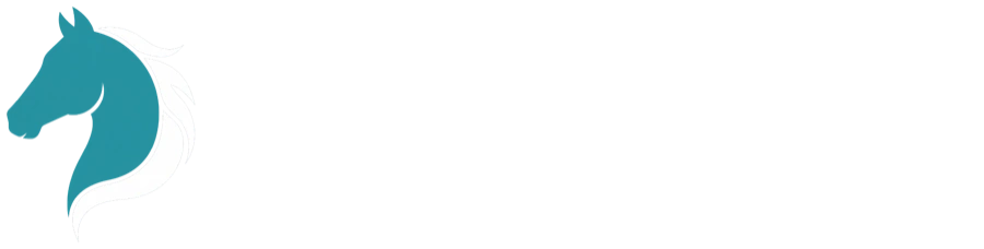 9 Tides Web Design